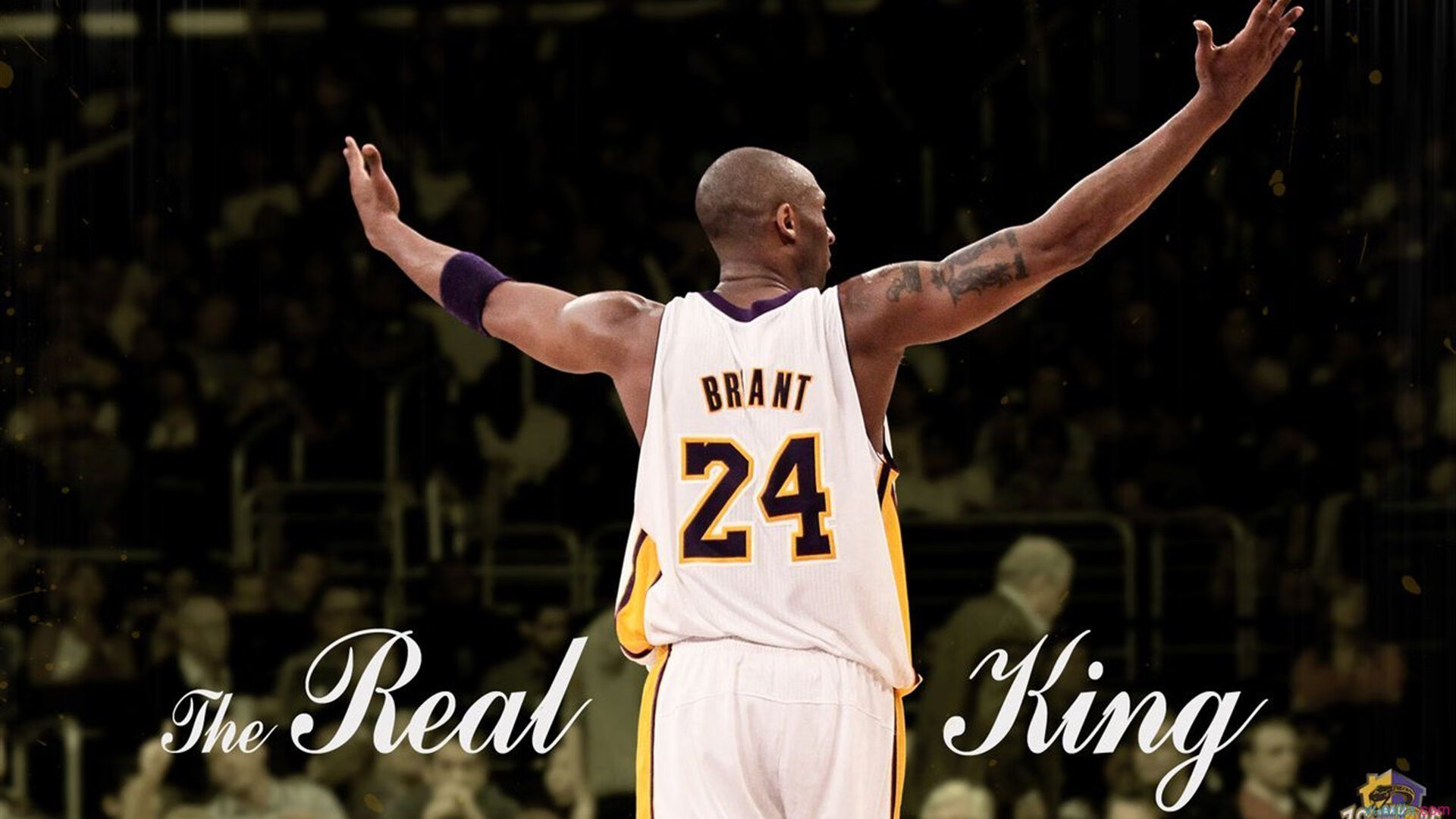 观众反馈推动服务优化,观众服务运行计划